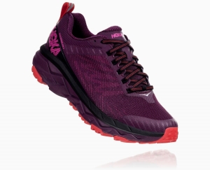 Hoka One One Challenger ATR 5 Women's Road Running Shoes Italian Plum/Poppy Red | 01956XHJA